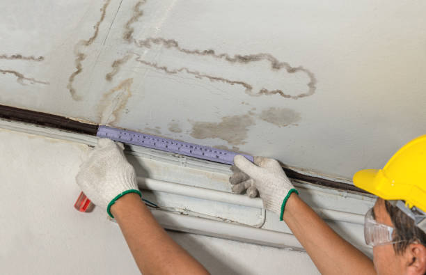 Reliable Mold Remediation contractor in Edmore, MI by Water Damage Irwin